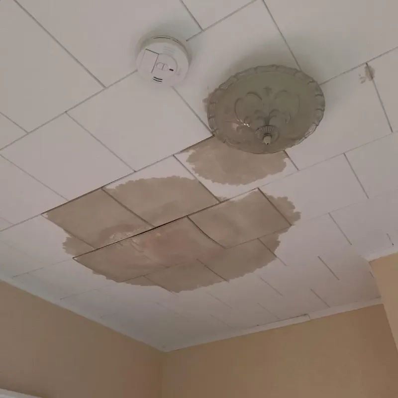 Ceiling Water Damage Repair in Trenton, OH