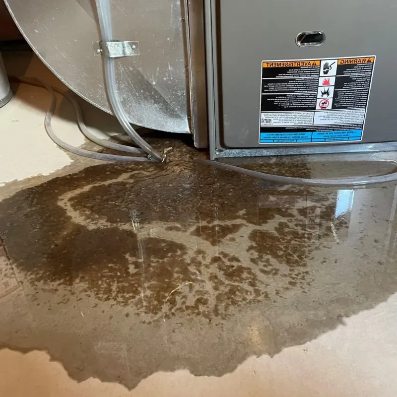 Pipe Burst and Leak Restoration in Trenton, OH